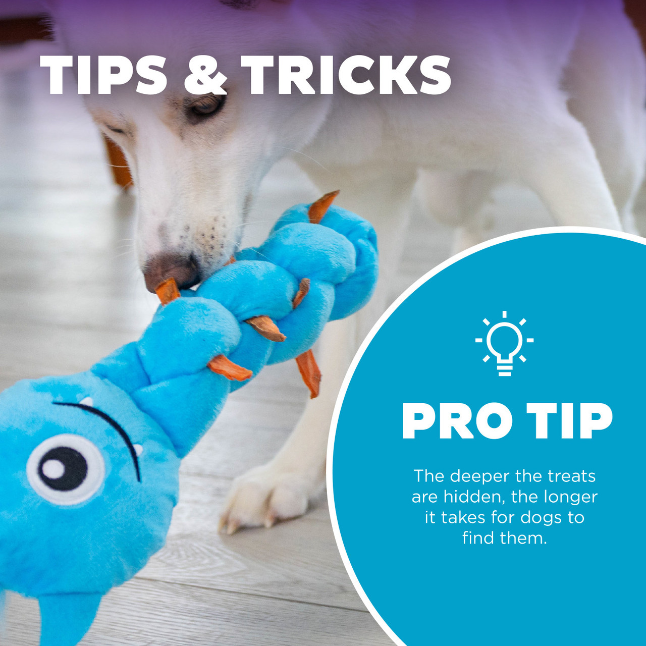 Twistiez Monster Plush Dog Treat Puzzle, Blue - Image 5