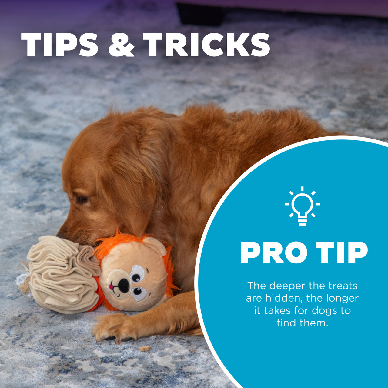 Stuff N' Snuffle Interactive Plush Dog Puzzle and Snuffle Ball for Dogs, Multi - Image 5