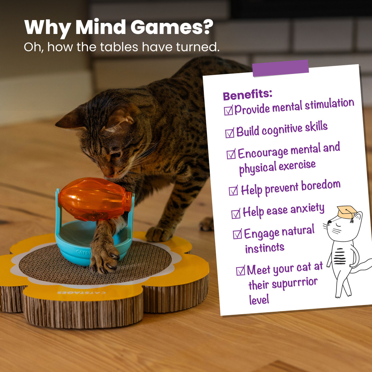 Scratch Topper Treat Org - Image 2