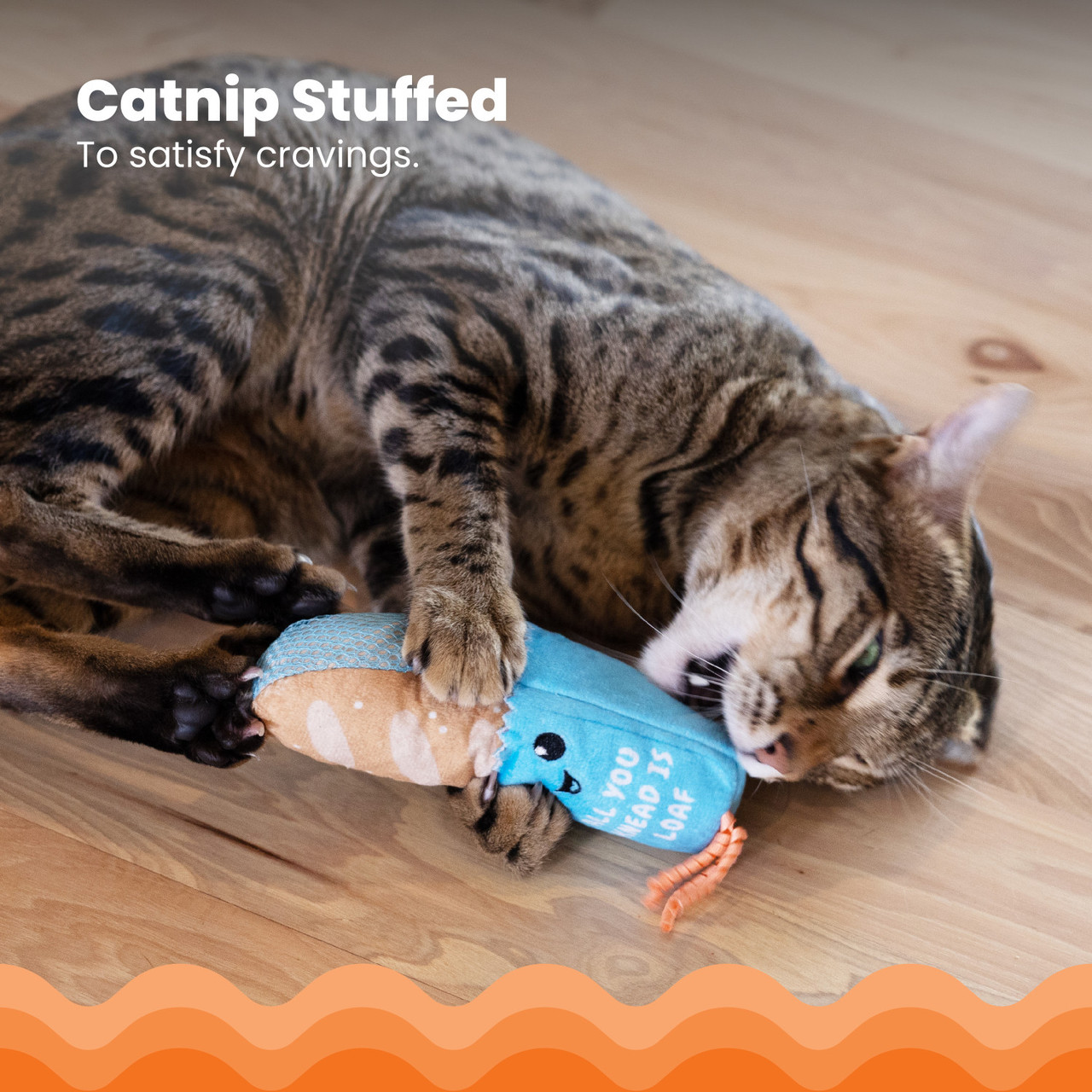 Loaf Kicker Catnip Toy and Dental Toy for Cats - Image 3