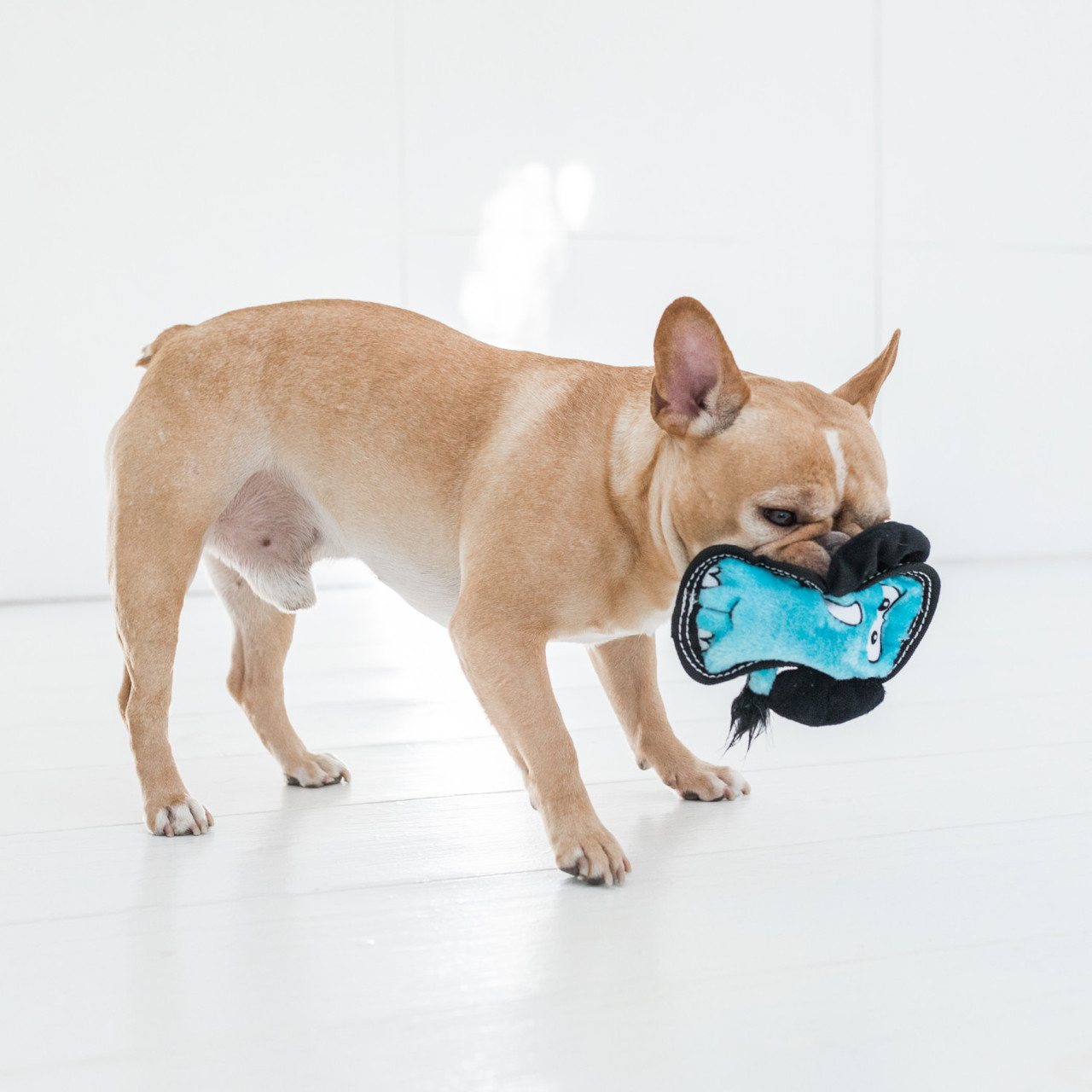 Tough Seamz Plush Dog Toy, Elephant - Image 5