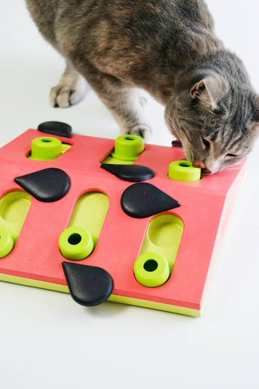 Melon Madness Puzzle & Play Cat Game, Pink - Image 6