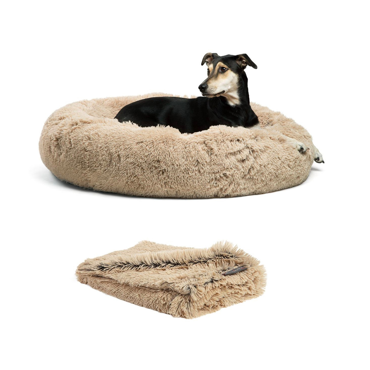 2 Piece Bundle: Donut Shag Bed, Throw Blanket Cat & Dog Bundle Set, 36x36 - Image 6