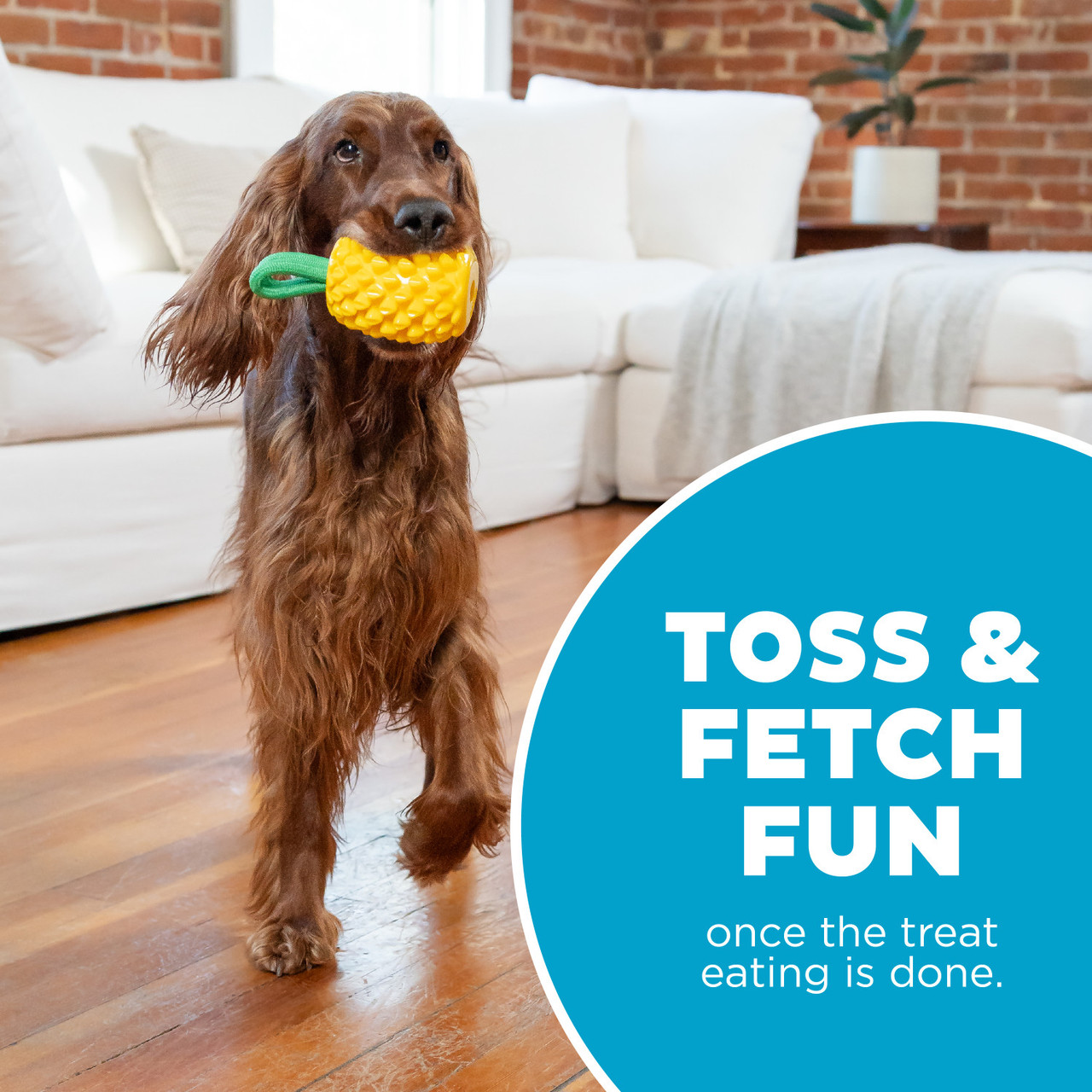Dental Pineapple Dental Chew Toy and Interactive Treat Stuffer, Yellow - Image 5