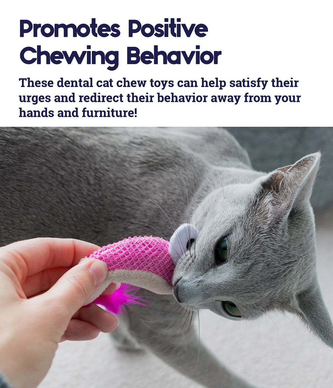 Dental Shrimpies Cat Chew Toy - 2 Pack, Multi - Image 4