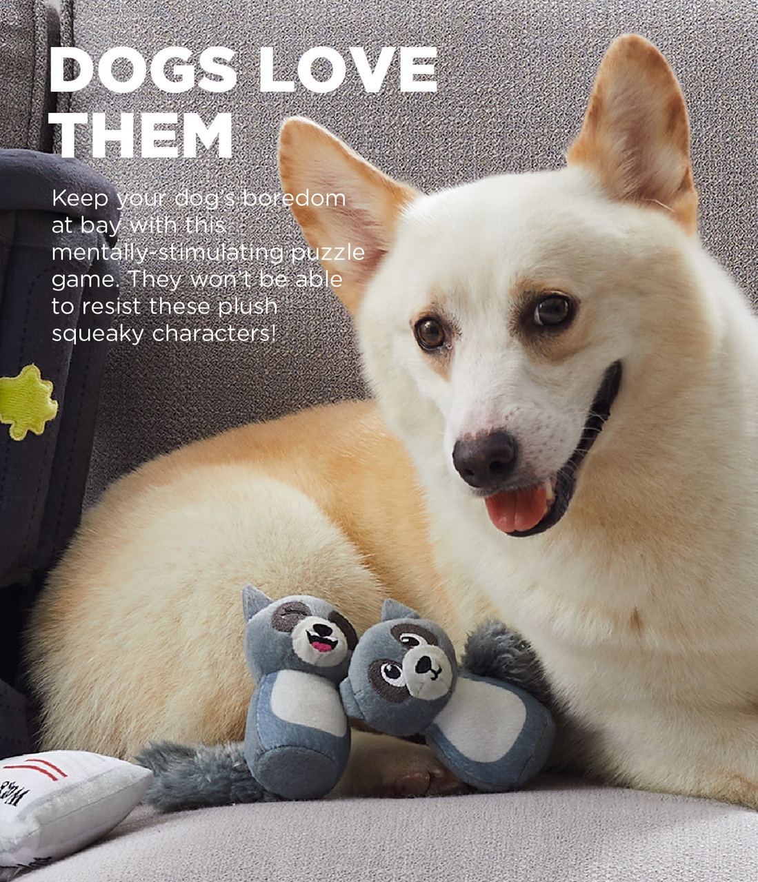 Hide A Raccoon Plush Dog Toy Puzzle, Grey - Image 2