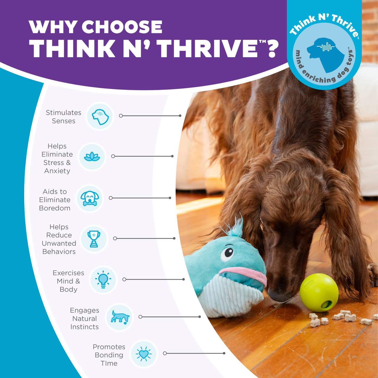 Big Mouthz Interactive Plush Dog Puzzle with Treat Ball, Blue - Image 6